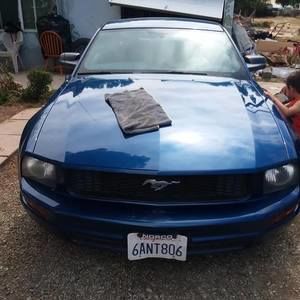 Meet your Posher, Pedro